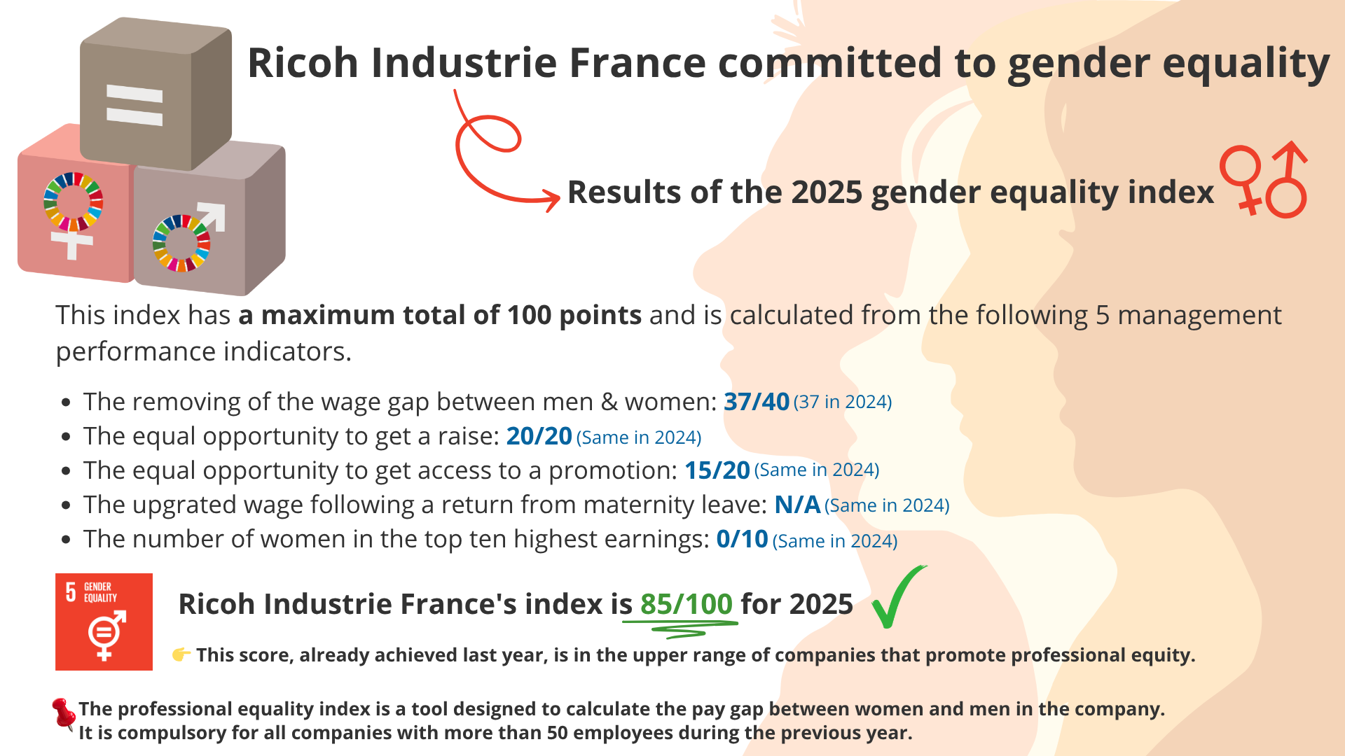 2025 RIF Professional Gender Index