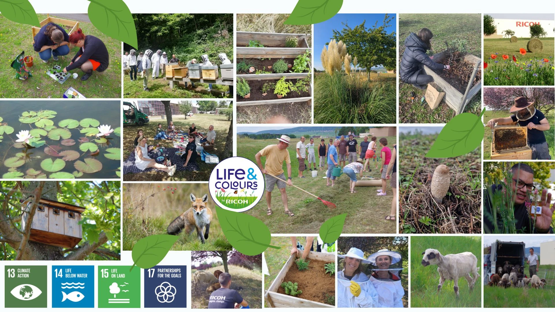 Développement durable