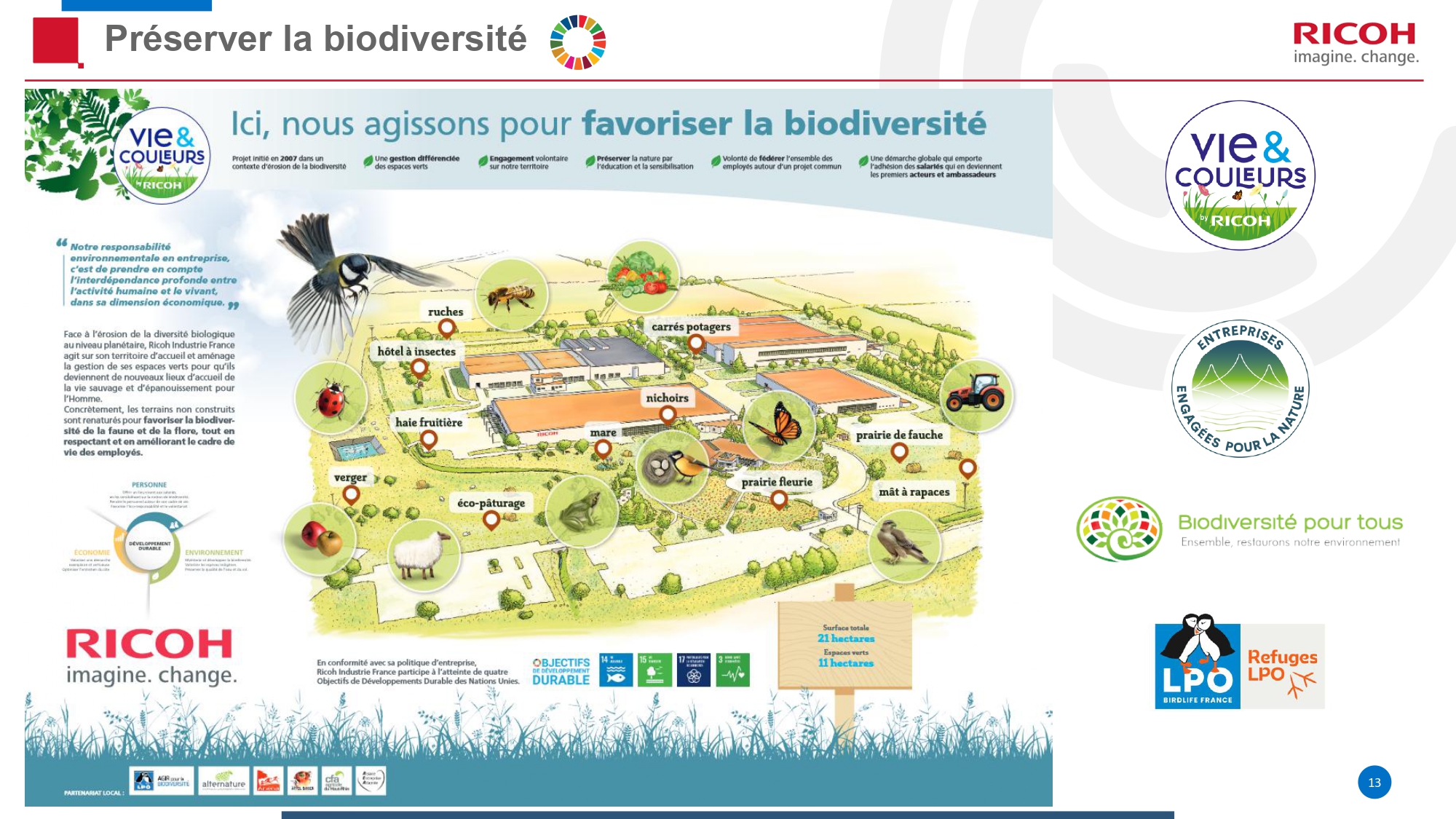 Présentation RIF - Diapo 13