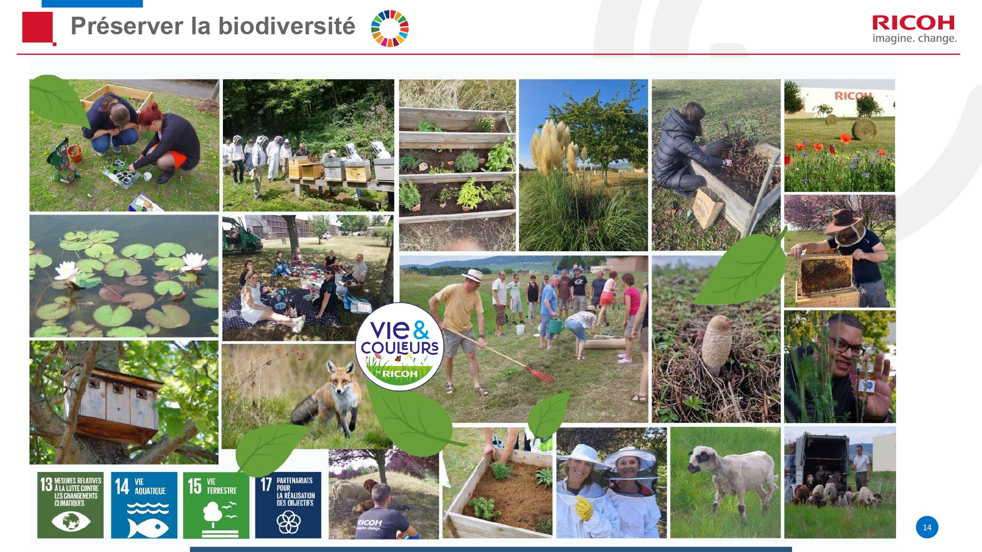 Présentation RIF - Diapo 14