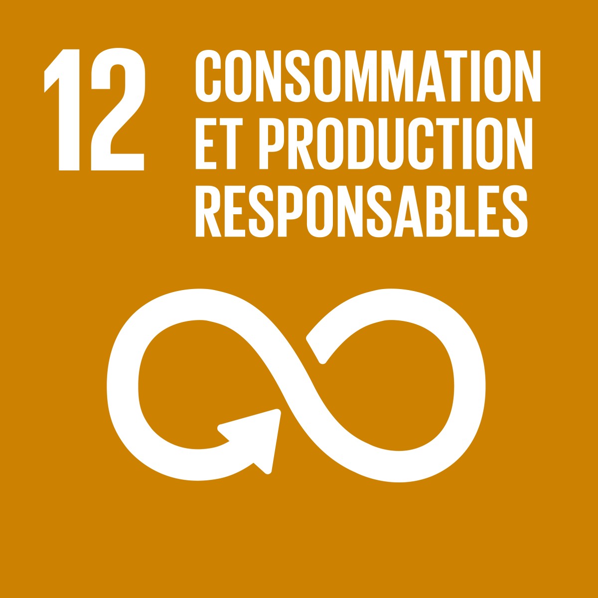 consommation-et-production-responsables