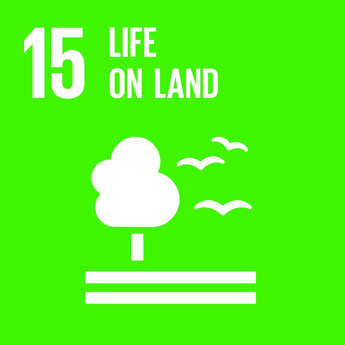 Life on land sustainable-development-goals