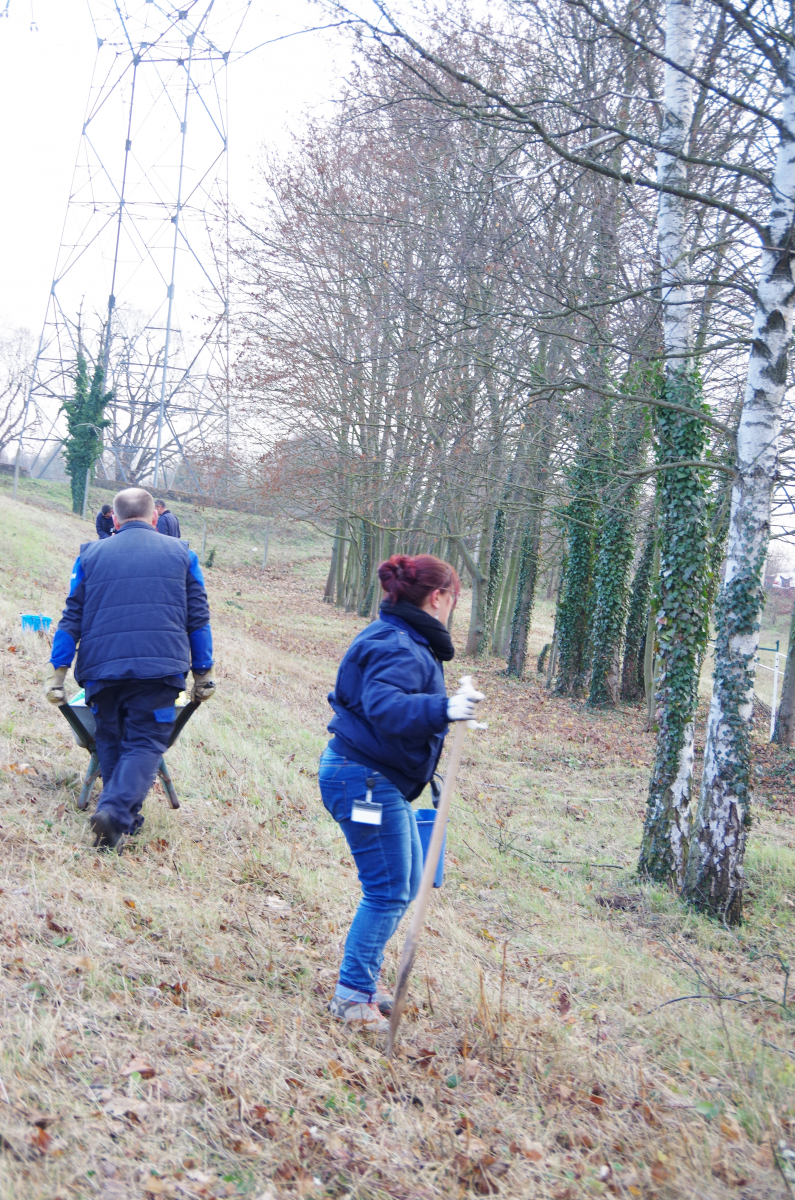 planting-of-trees